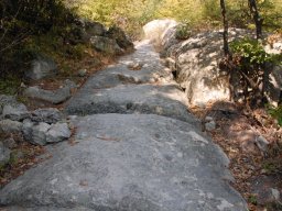 DSC_1530m