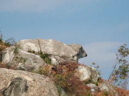 DSC_1652m
