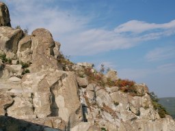 DSC_1655m