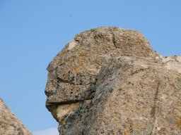 DSC_1669m