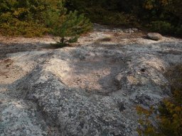 DSC_1790m