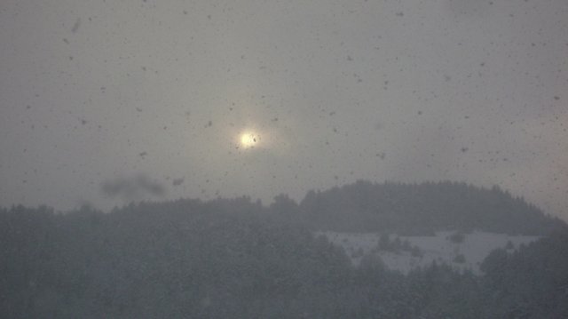 DSC05238-1