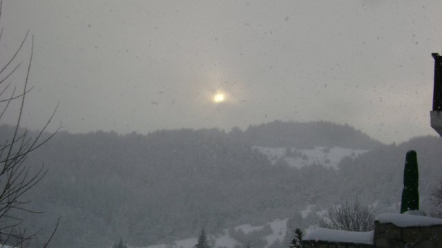 DSC05239-1