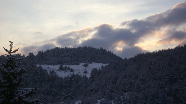 DSC05261-1