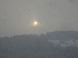 DSC05236-1
