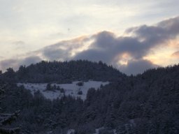 DSC05261-1