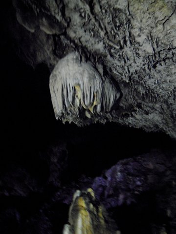 DSCN7548-1