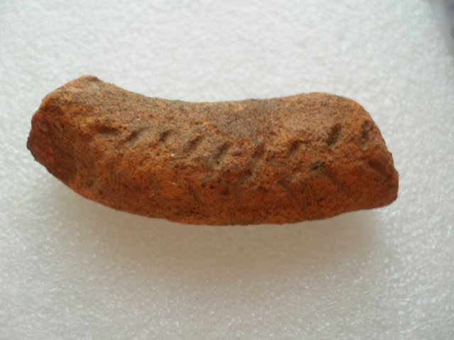 P1010144-1