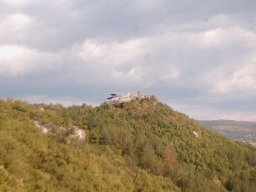DSC_9708-1~1