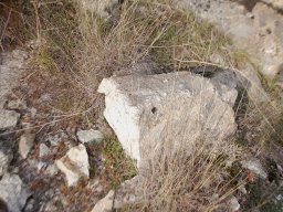 DSC_9727-1