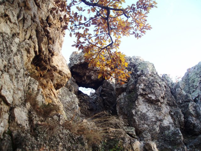 P1010324-1
