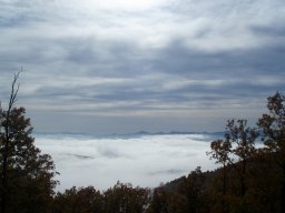 P1010226-1~0