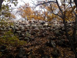 P1010270-1