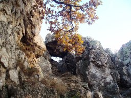 P1010324-1
