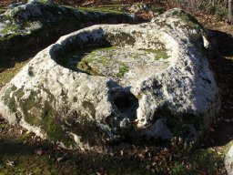 P1010147-1