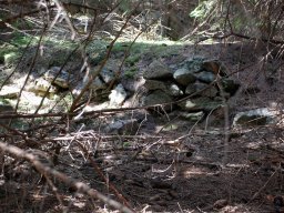 DSC_9715-1