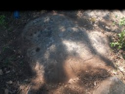 DSC_0241-1