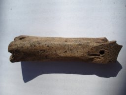 P2270024