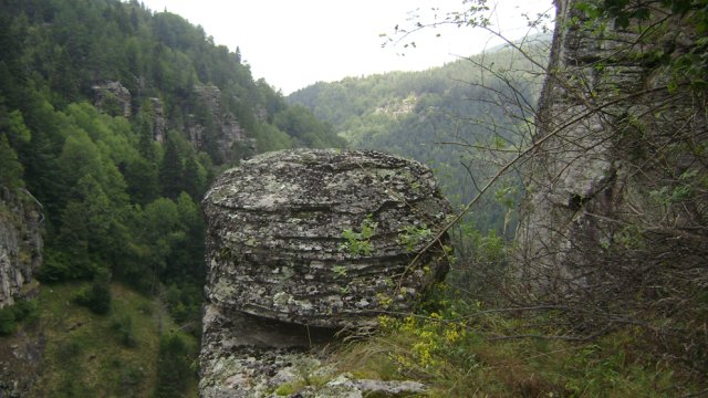 DSC09249-1