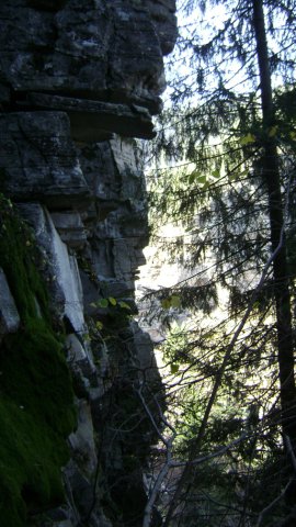DSC09438-1