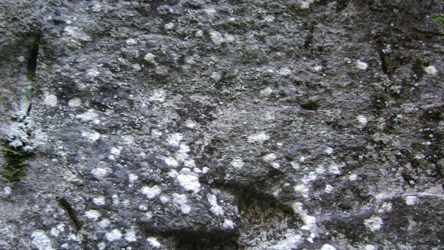 DSC09488-1