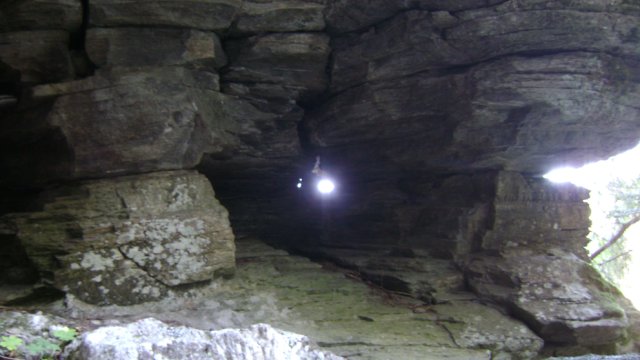 DSC09494-1