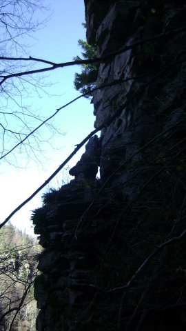 DSC09507-1
