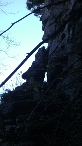 DSC09508-1