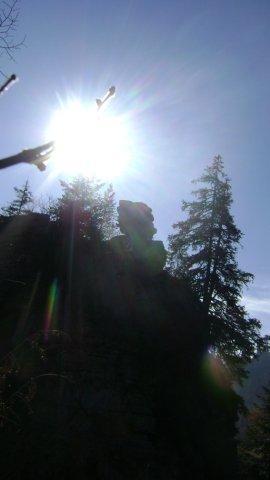 DSC09513-1