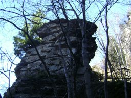 DSC09506-1