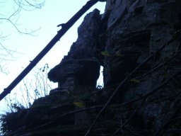 DSC09508-1