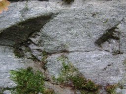 DSC09533-1
