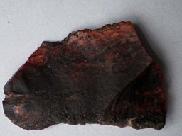 P1130058