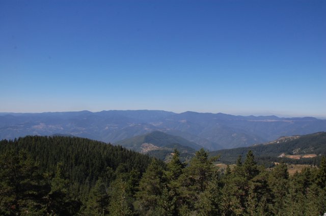 DSC_7253-1