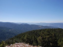 DSC_7255-2