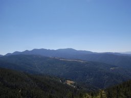 DSC_7258-1