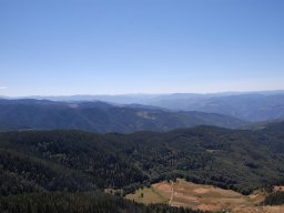 DSC_7296-1