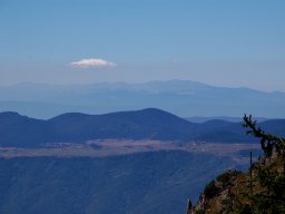 DSC_7311-1