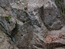 DSC_8600-1