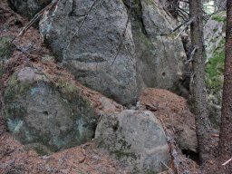 DSC_8609-1