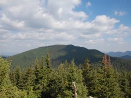 DSC_8613-1