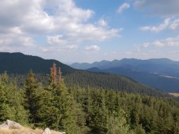 DSC_8628-1