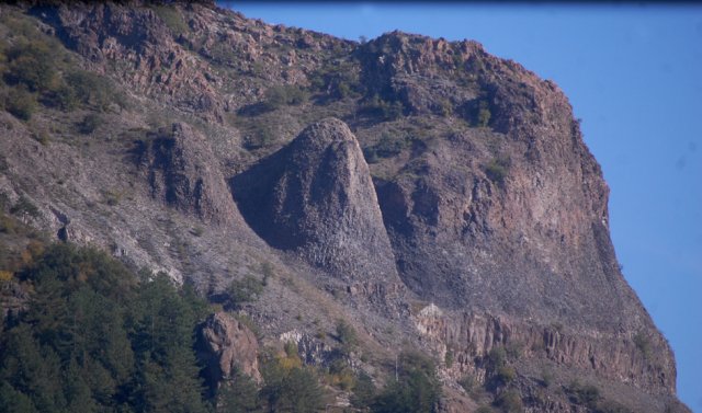 DSC_1906-1~1