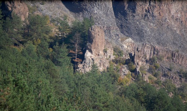 DSC_1915-1~0