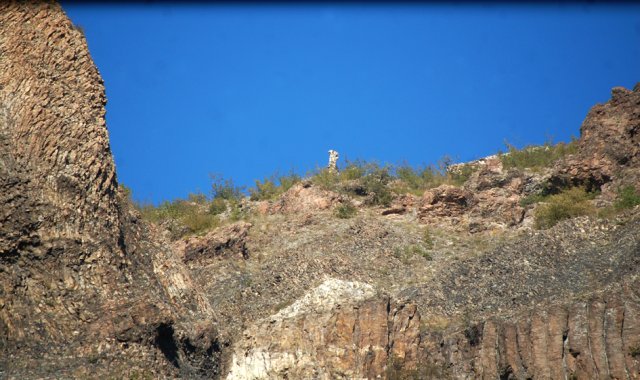 DSC_1937-1~1