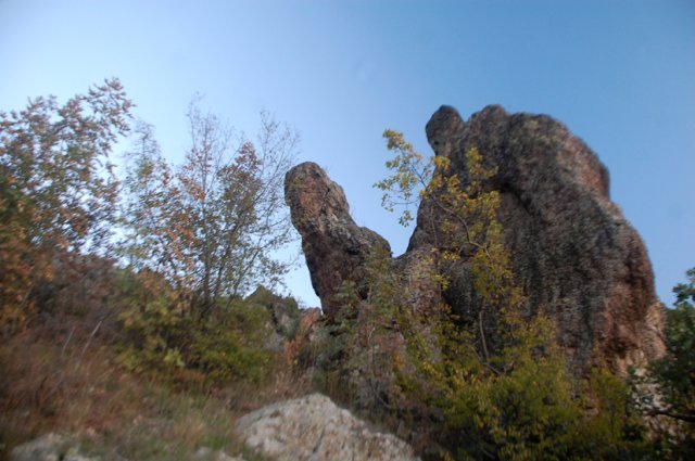 DSC_9458-1~0