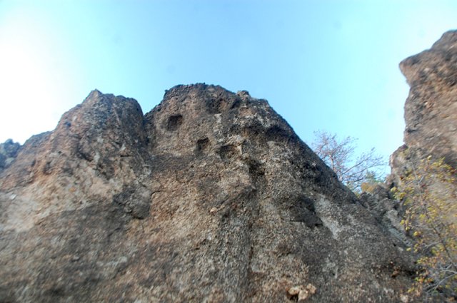 DSC_9463-1~0