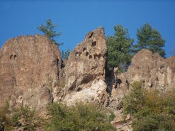 DSC_1929-1~0