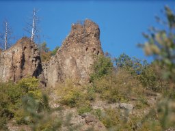 DSC_1931-1~0