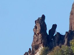 DSC_1961-2~0